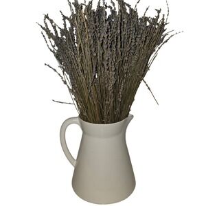 Faria Bento  White Ceramic Tall Pitcher Carafe Water Coffee Tea Server, Jug Vase